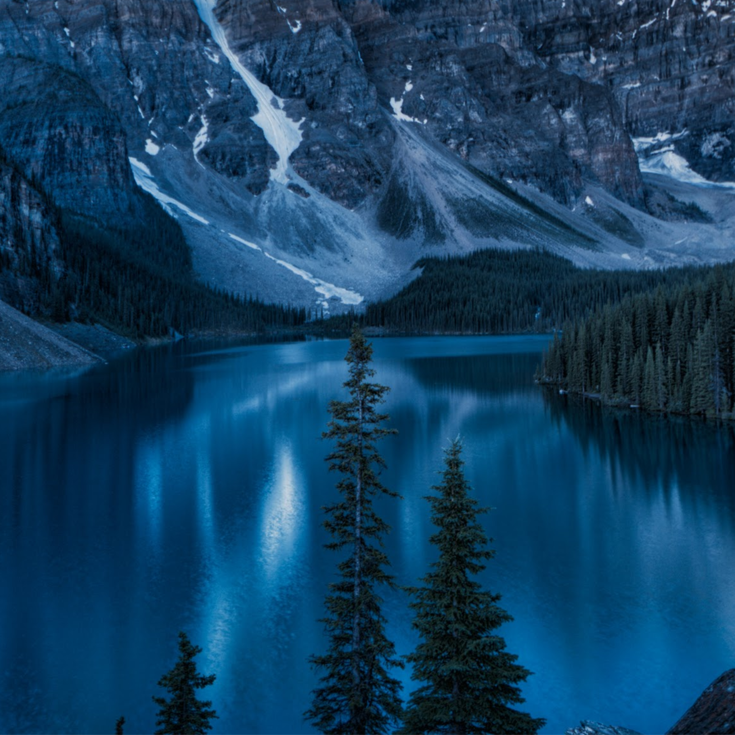 image-20250803204153302