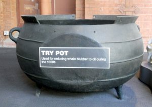 数学之美：两点之间最快的路径